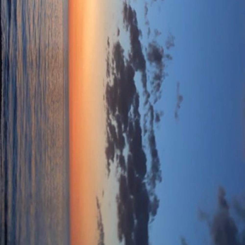 Meet your Posher, Morgyn